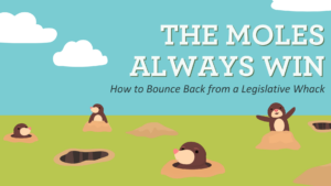 The Moles Always Win: How to Demonstrate Resilience in Times of Uncertainty