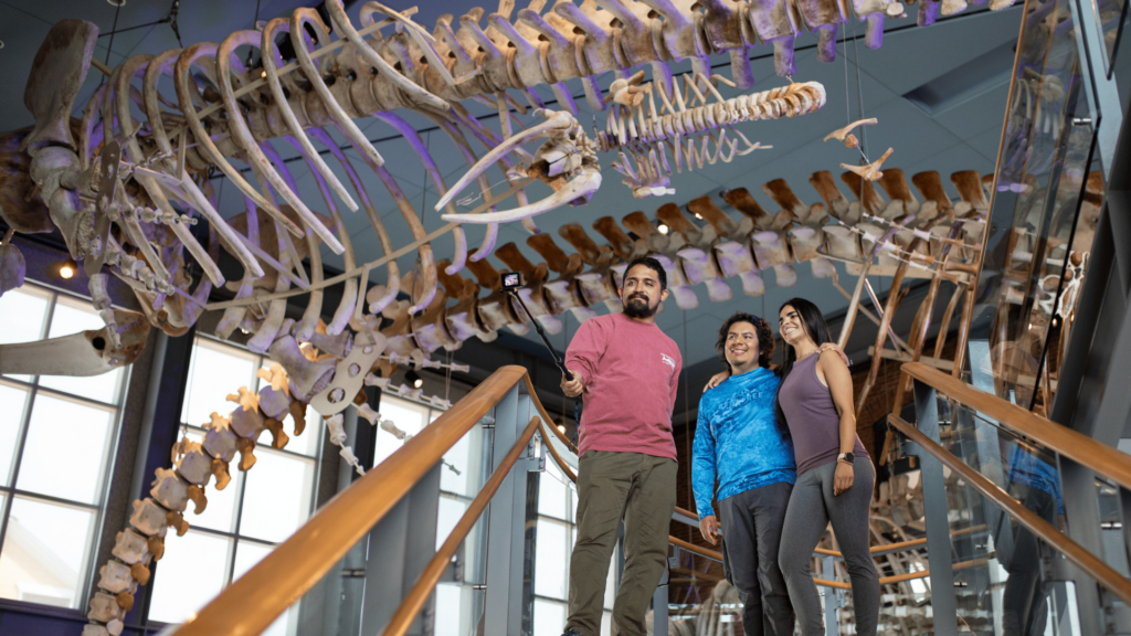 New Bedford Whaling Museum. Image shows museum goers taking a selfie underneath the skeleton of a whale.