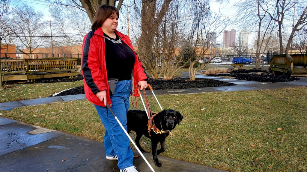 Pilot Dogs. Image shows a bling person walking with a guide dog and a walking stick.