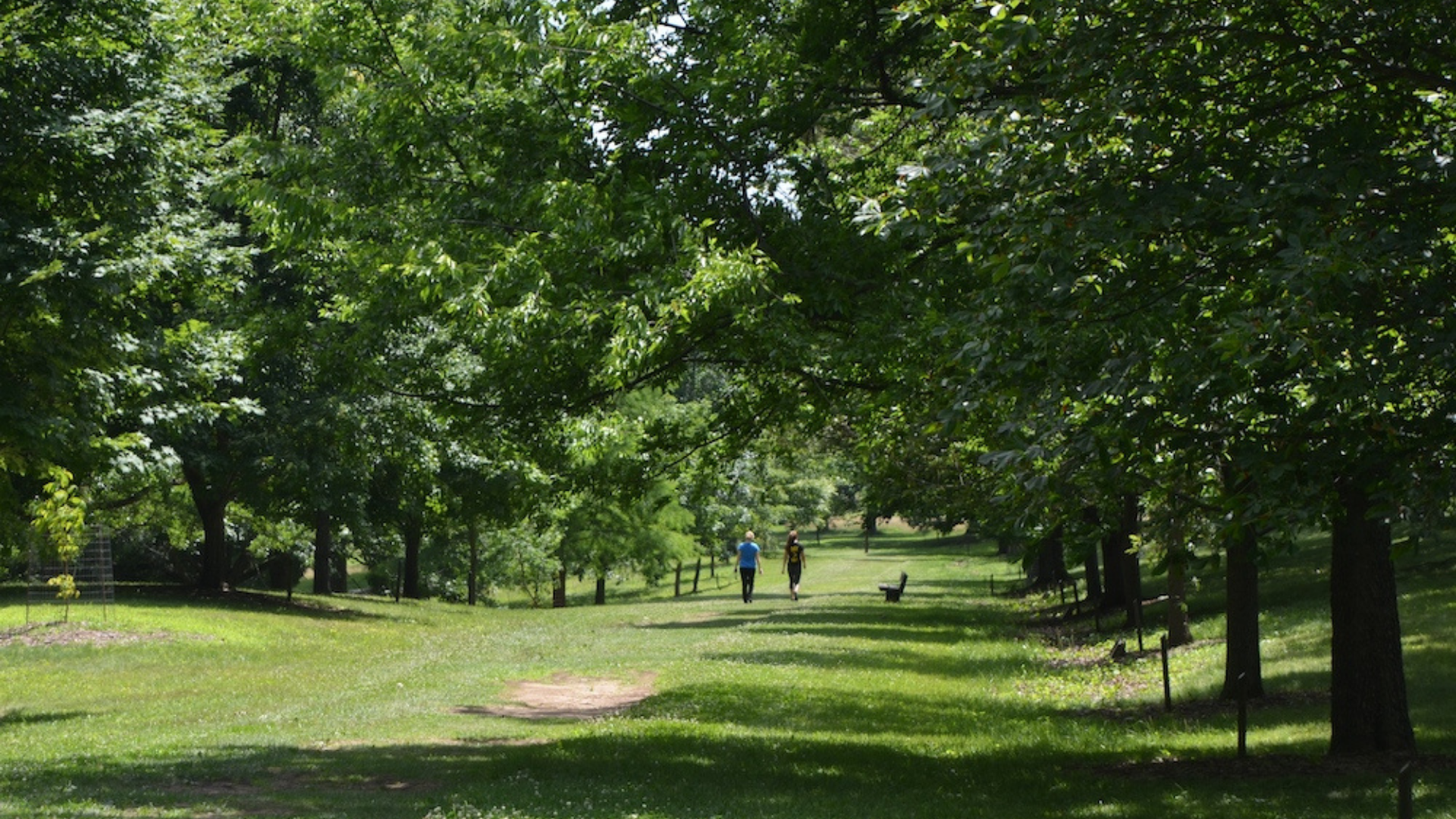 Dawes Arboretum. Image shows people walking a grassy trail outdoors.