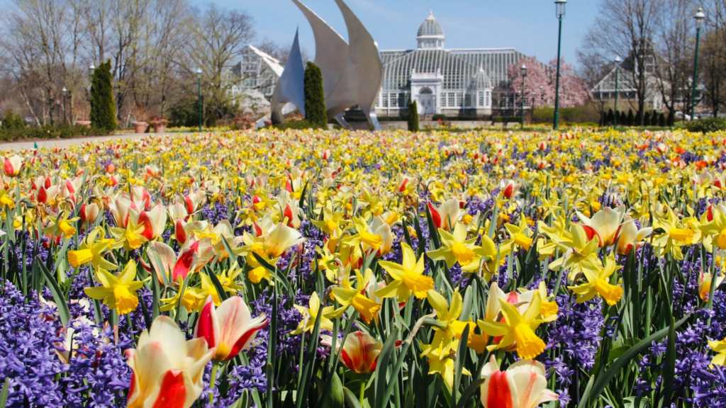 Franklin Park Conservatory. Image shows a field of flowers in front of the conservatory.