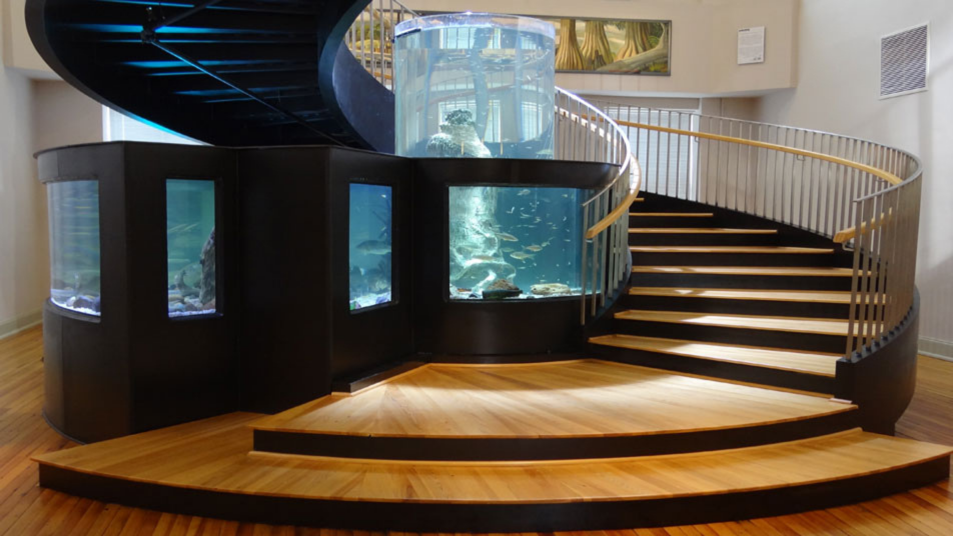Horry County Museum Foundation stairwell aquarium