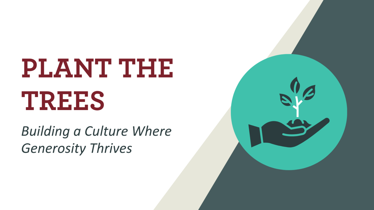Plant the Trees: Building a Culture Where Generosity Thrives