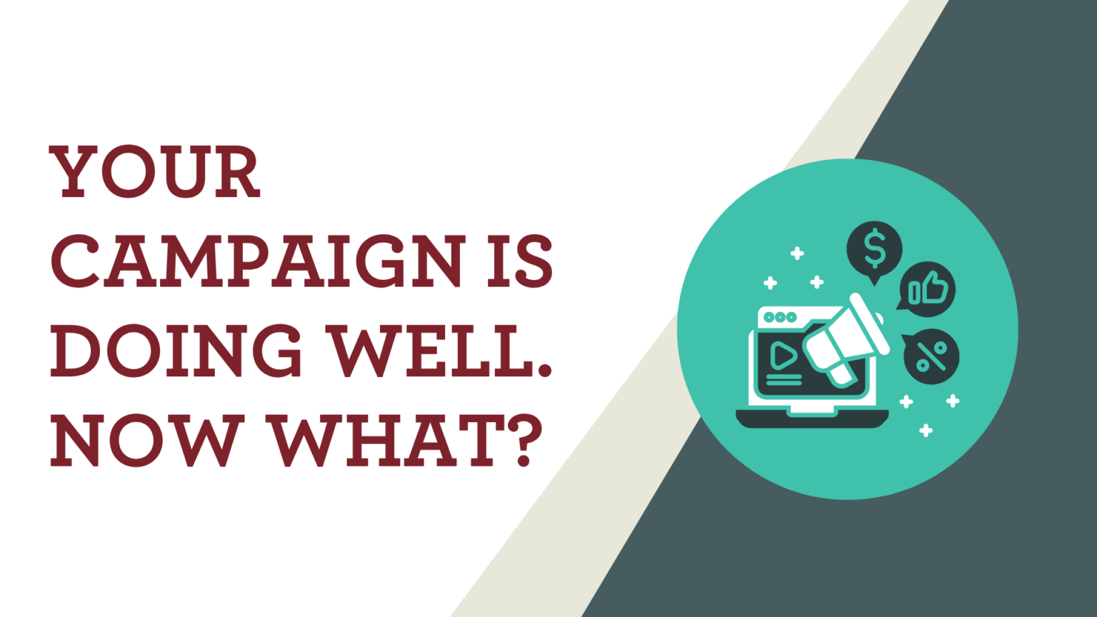 Your Campaign Is Doing Well. Now What?